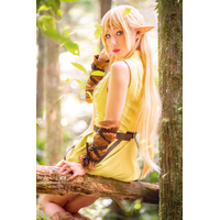 752_haneame_cosplay_record_of_lodoss_war_deedlit_cos_by_haneame_ddi732e_fullview-v55cMDGy.jpg