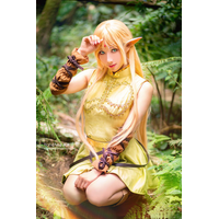 757_haneame_cosplay_record_of_lodoss_war_deedlit_cos_by_haneame_ddi7326_fullview-JLbaE1Cl.jpg