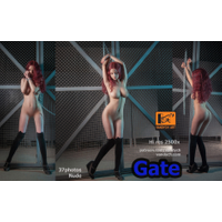 gate-cenz-Ud83aKq0.jpg